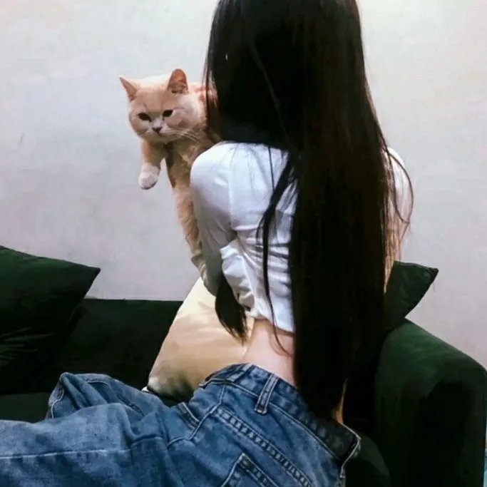 瞒天凶嫌