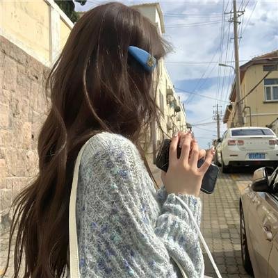 护花大臣